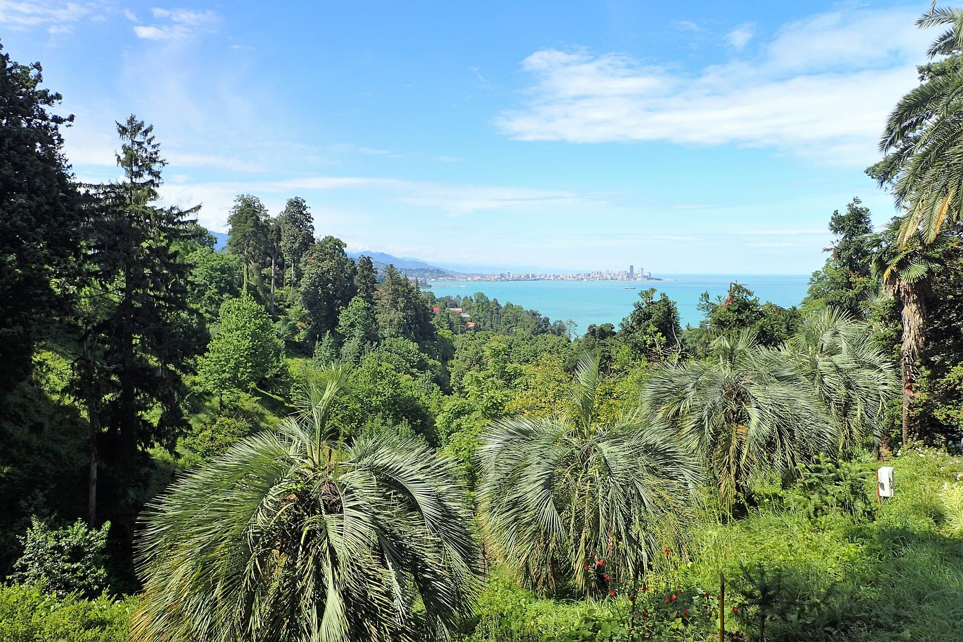 Botanical Garden, Batumi kz01