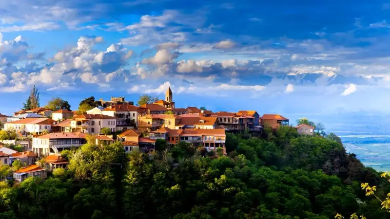 Sighnaghi's town walls and rooftops above the Alazani Valley with the Caucasus behind